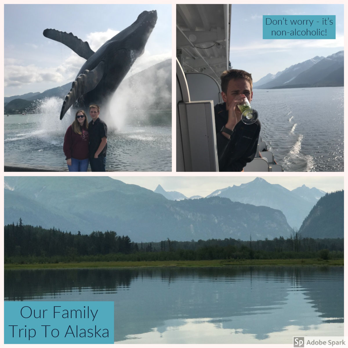 Our Family Trip To Alaska<BR> Our Family Trip To Alaska<BR><P>Don’t worry - it’s non-alcoholic!