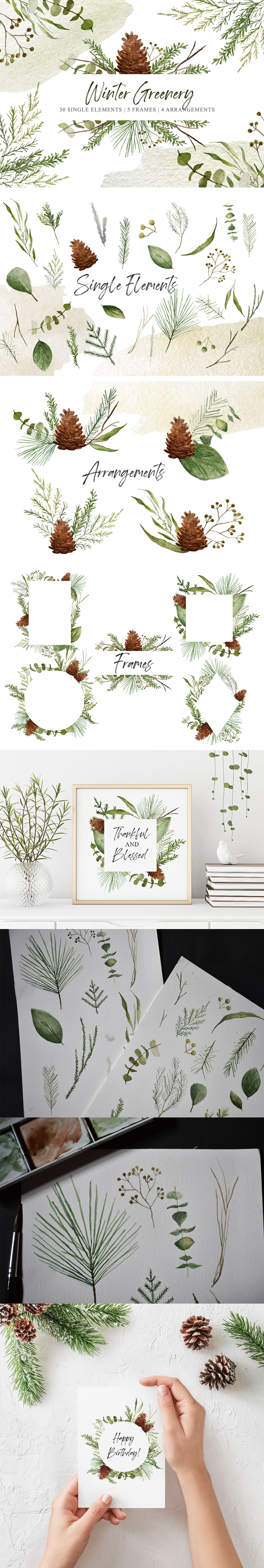 Winter Greenery Clipart Set rendition image