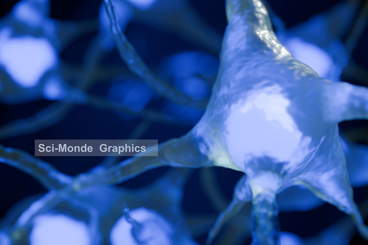 1Versatile Neuron Images Blue White rendition image