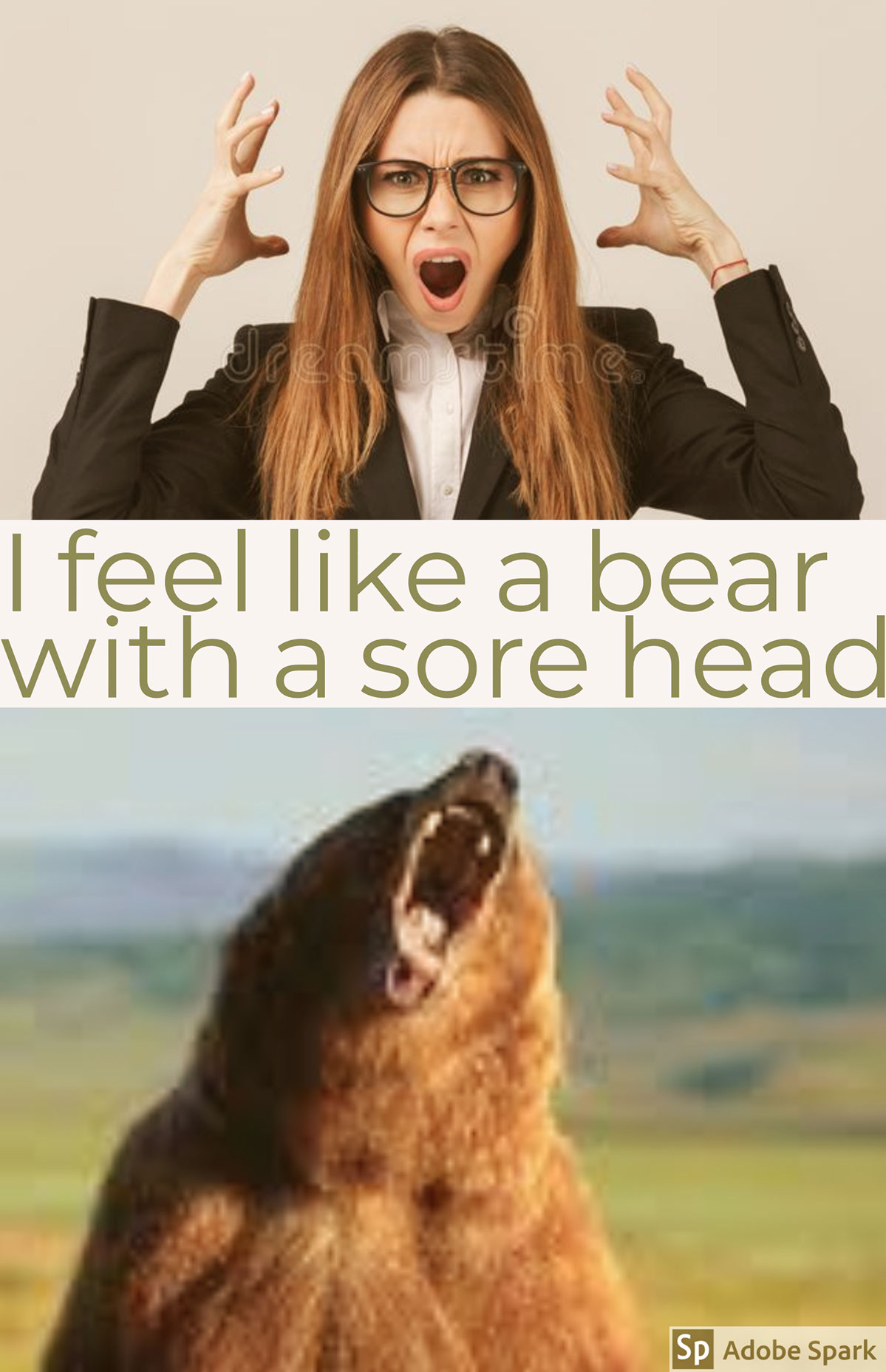 I feel like a bear with a sore head I feel like a bear with a sore head