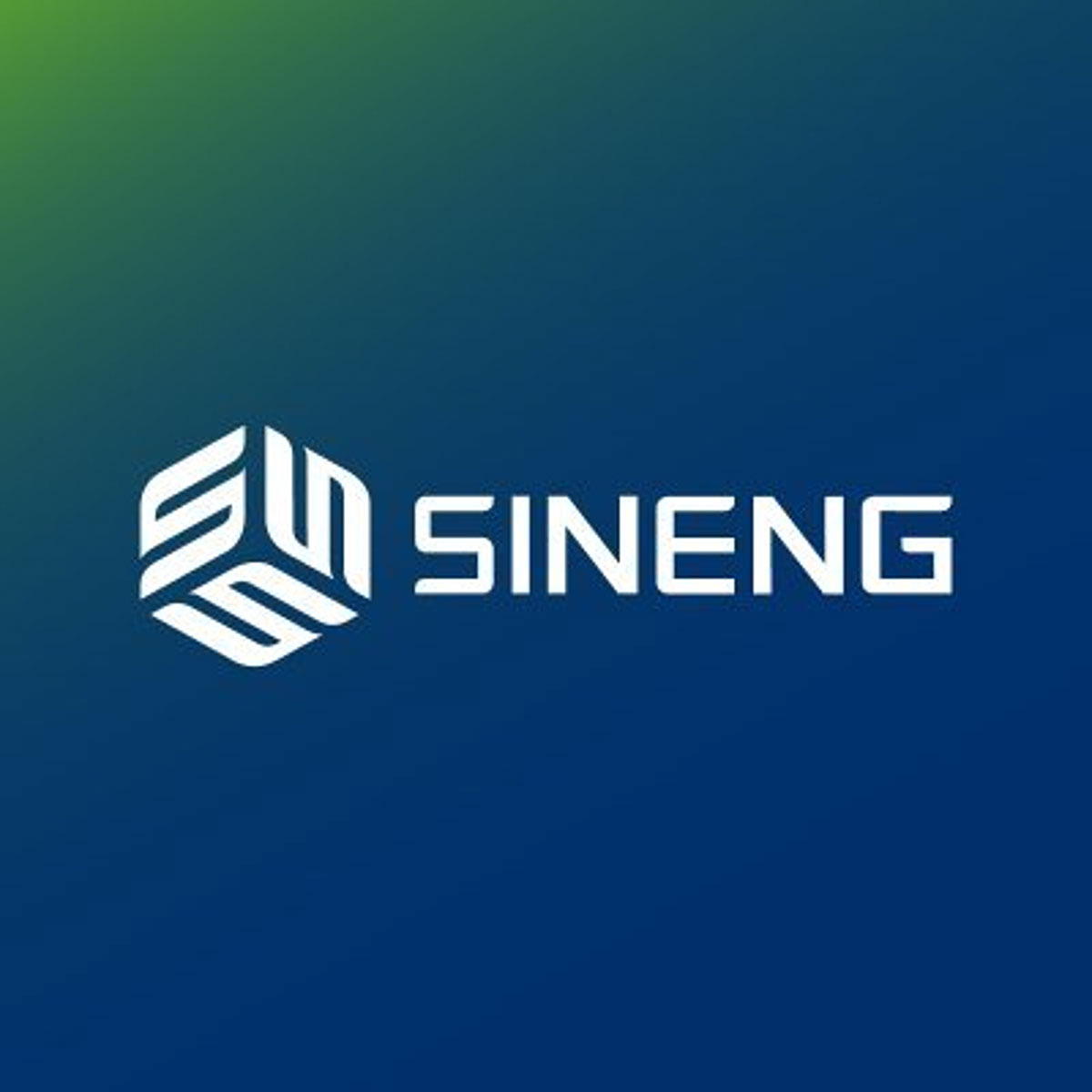 Sineng website audit rendition image