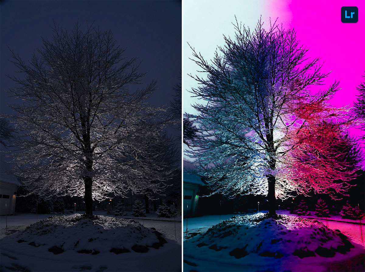 Winter Tree with Flash | Remix | Photoshop Lightroom