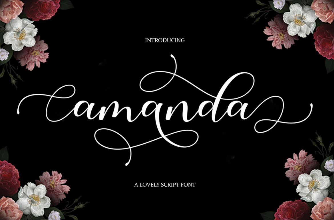 Amanda Script on Behance :: Behance