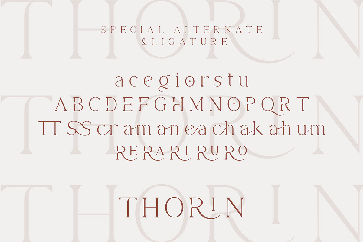 Thorin rendition image