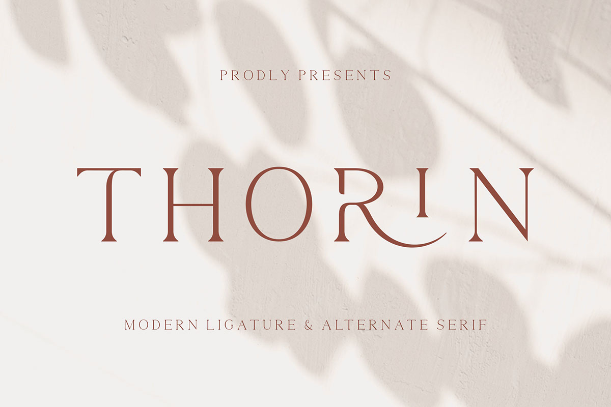 Thorin rendition image