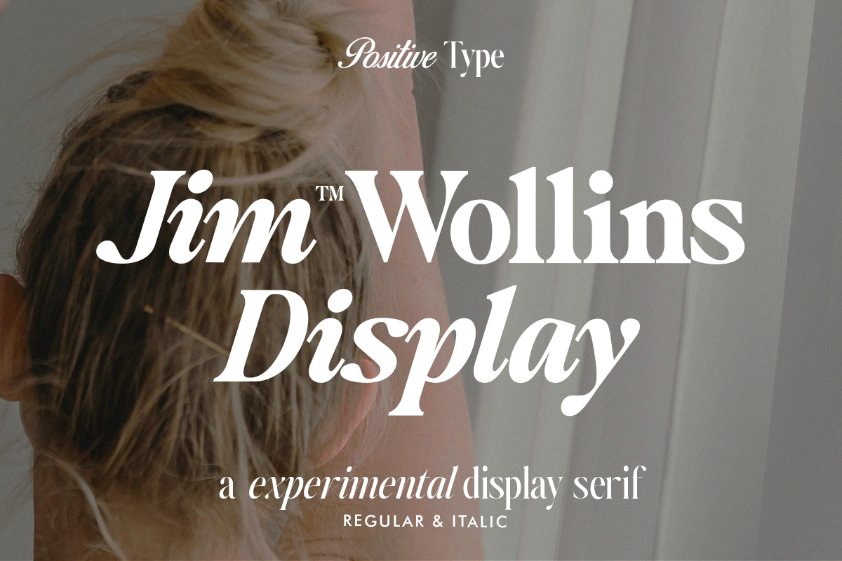 Jim Wollins Display rendition image