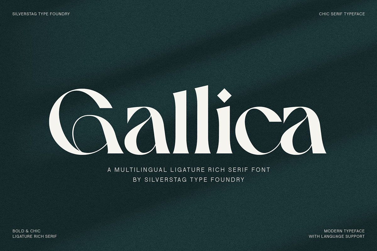 Gallica - A Powerful Ligature Serif Font rendition image
