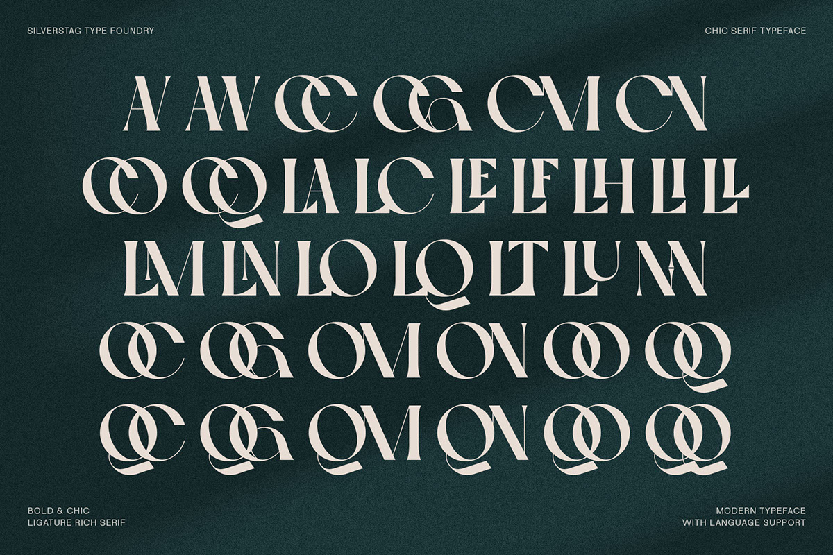 Gallica - A Powerful Ligature Serif Font rendition image