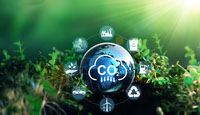 Sumideros de Carbono Fundamentales para la Conservacion