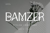 Bamzer Stylish Logo Font