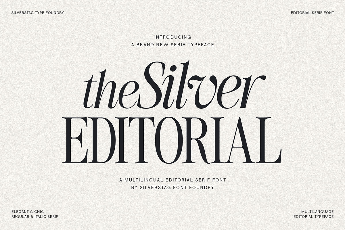 The Silver Editorial - Modern Serif Font rendition image