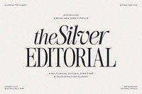 The Silver Editorial - Modern Serif Font