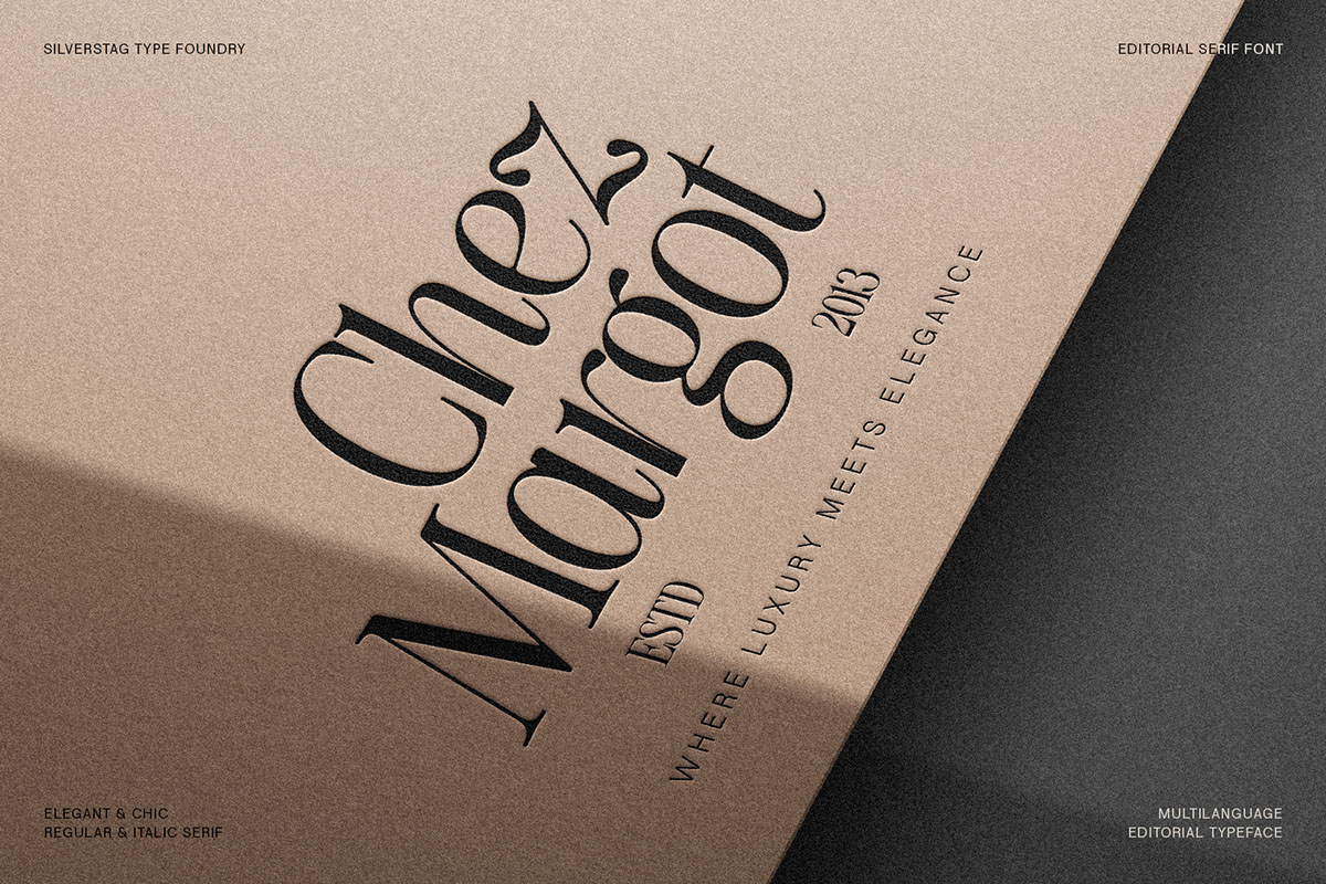 The Silver Editorial - Modern Serif Font rendition image