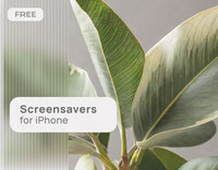 Free Screensavers