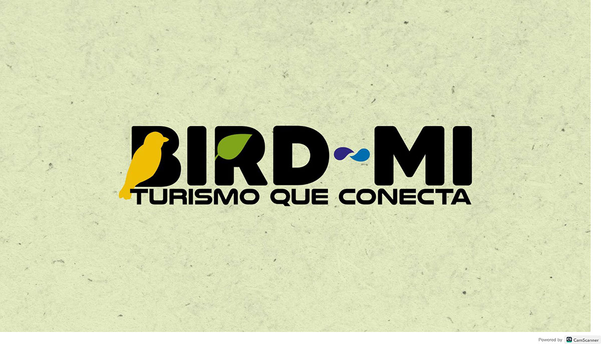 presentacion Bird-Mi rendition image
