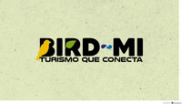 presentacion Bird-Mi