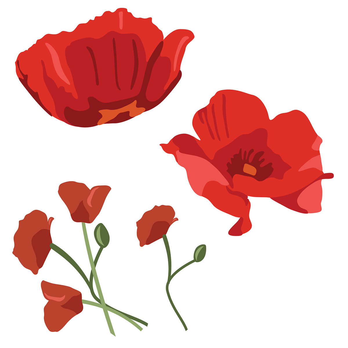 Poppies Soft rendition image