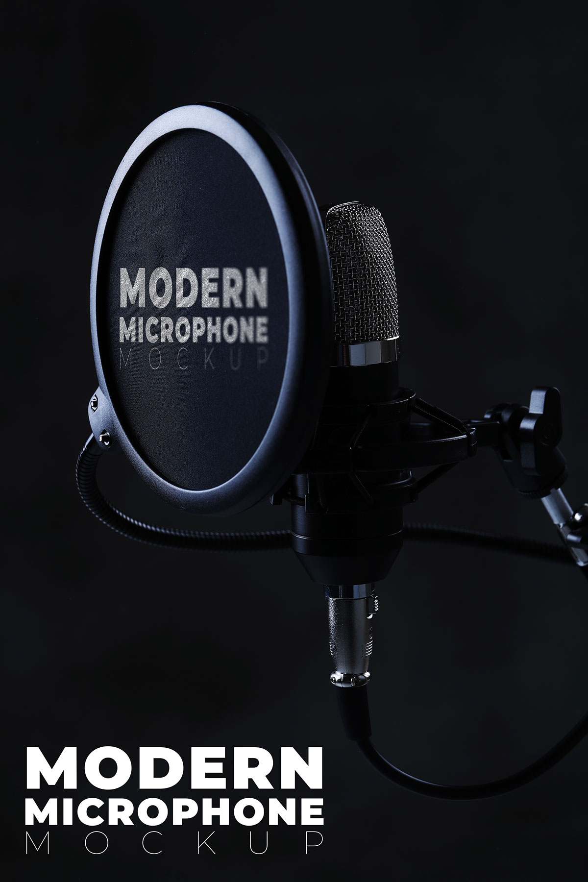 Modern Microphone Mockup rendition image