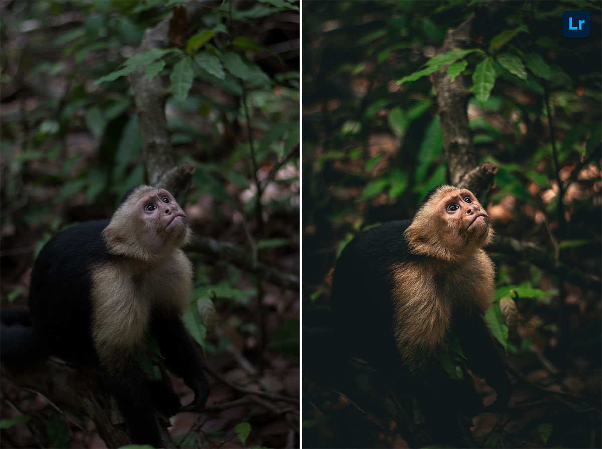 How To Edit Backlit Photos On Iphone