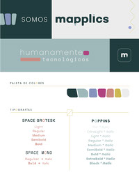 Branding Mapplics