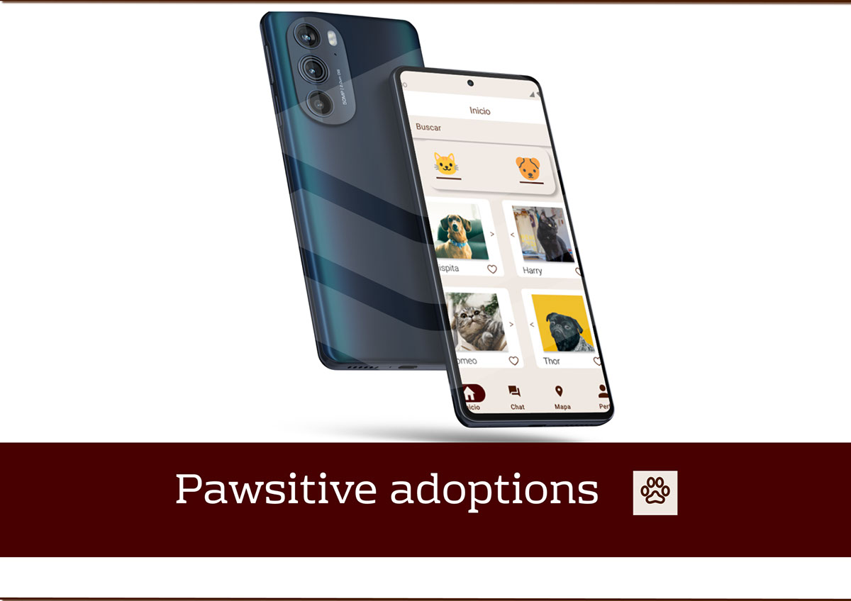 Pawsitive Adoptions rendition image