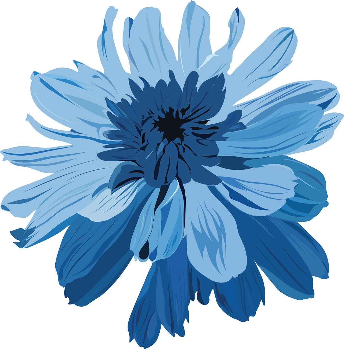 Blue Flower rendition image