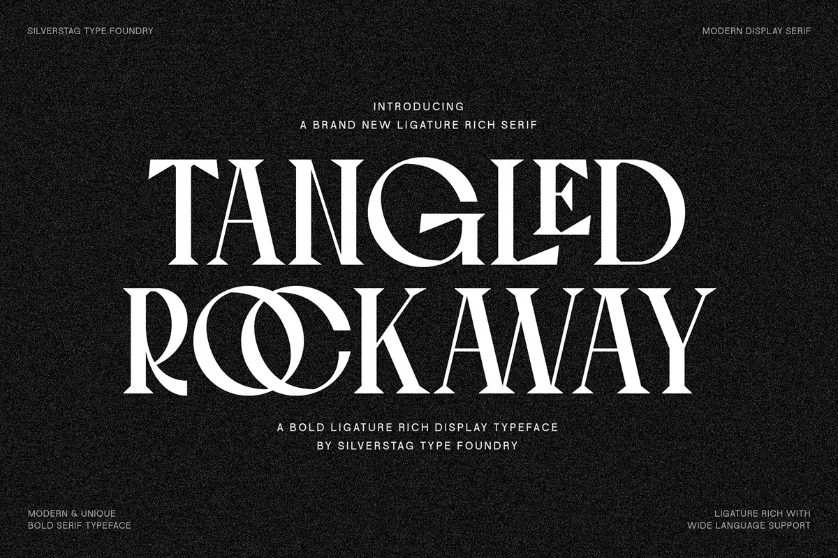 Tangled Rockaway - Vintage Serif Font rendition image