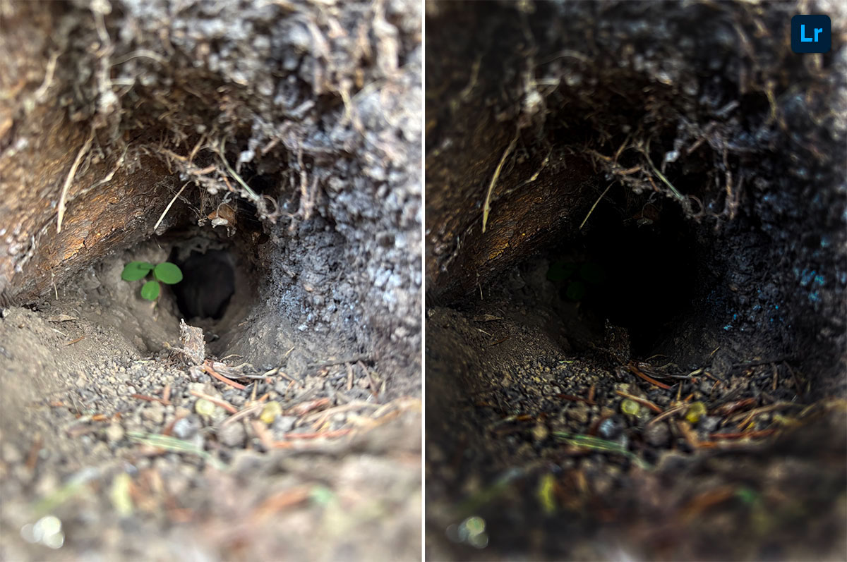 Animal burrow | Edit | Photoshop Lightroom