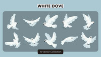 White Dove Vector Set