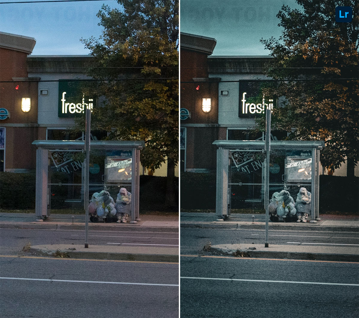 cold | Edit | Photoshop Lightroom