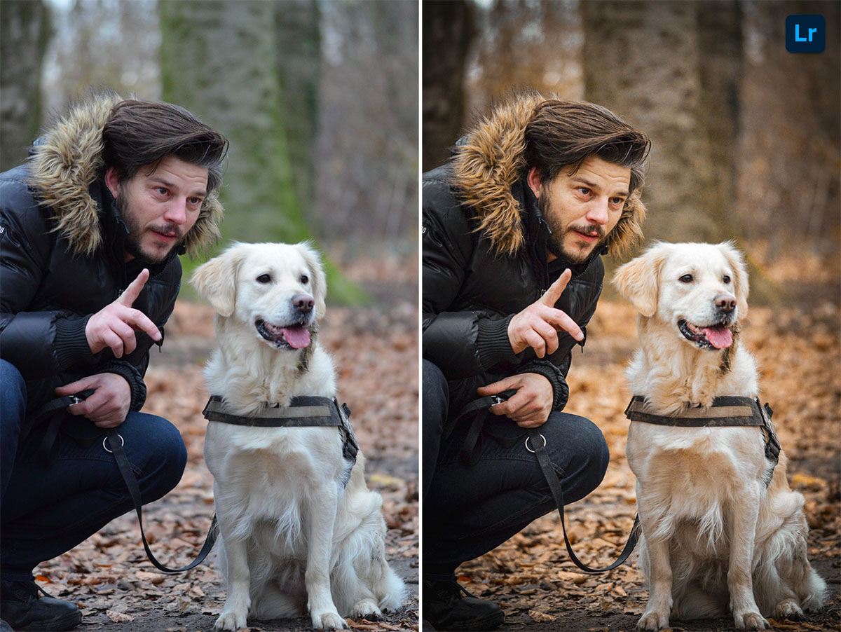 How To Properly Edit A Pdf