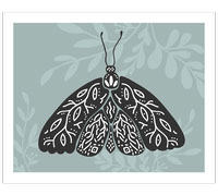 Boho Butterflies Vector Graphics