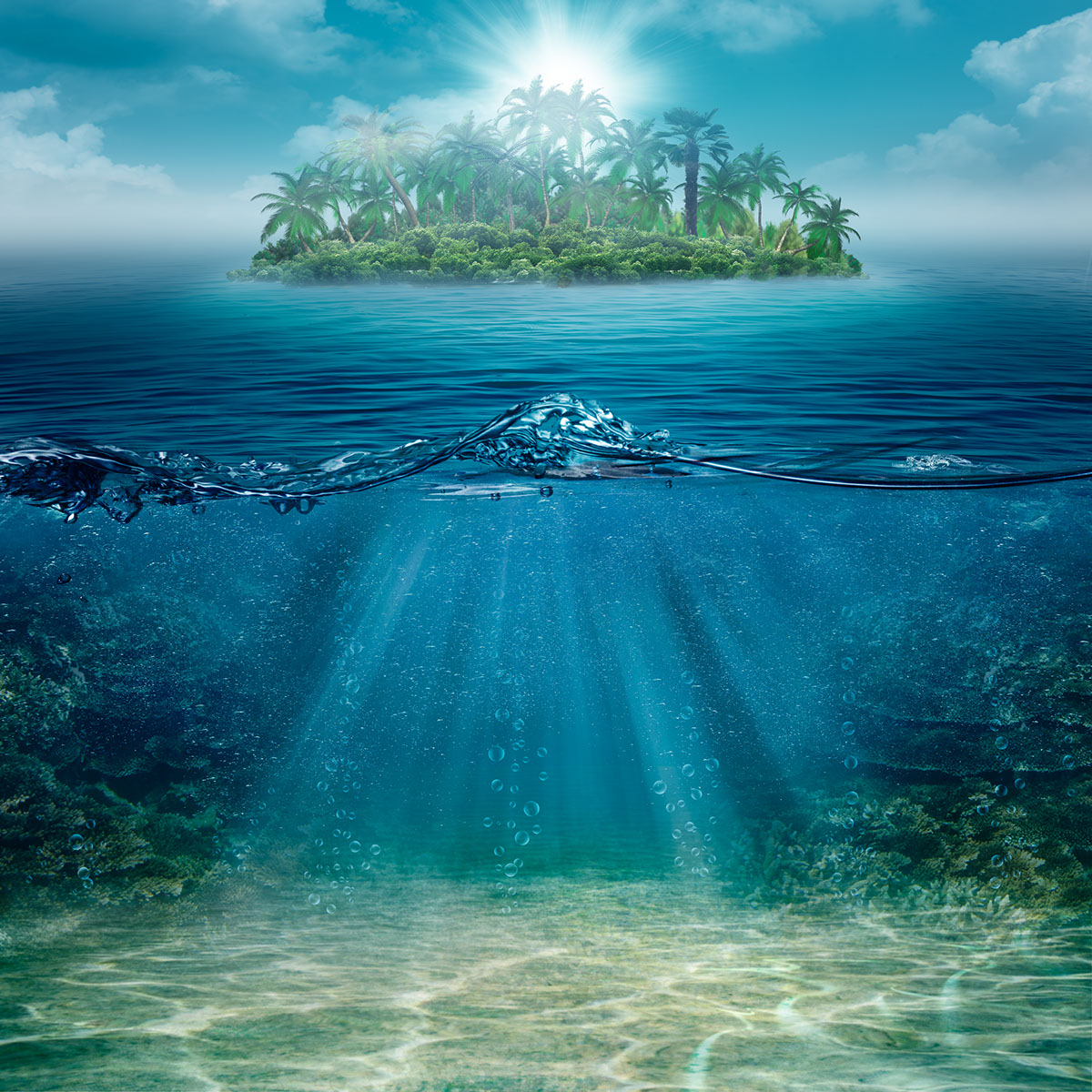 Ecosistema Submarino rendition image