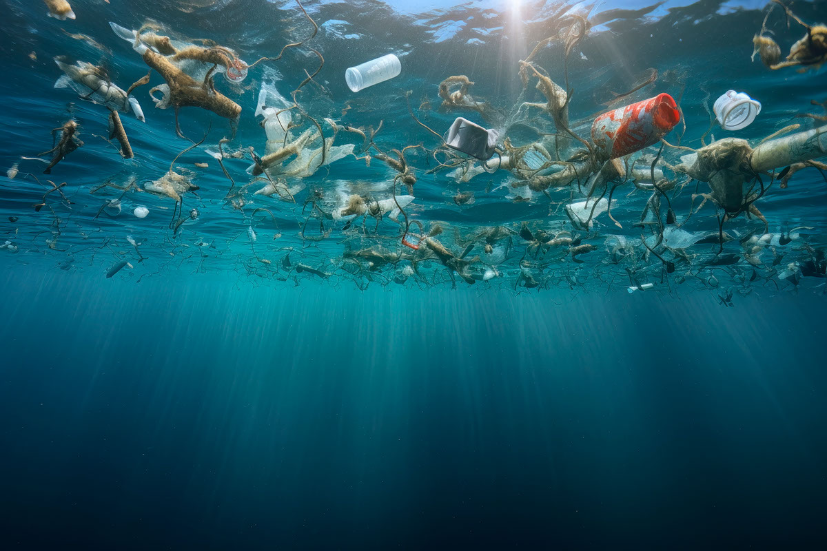 La crisis del plastico en los oceanos rendition image