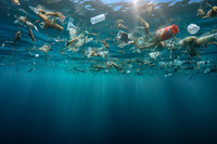 La crisis del plastico en los oceanos