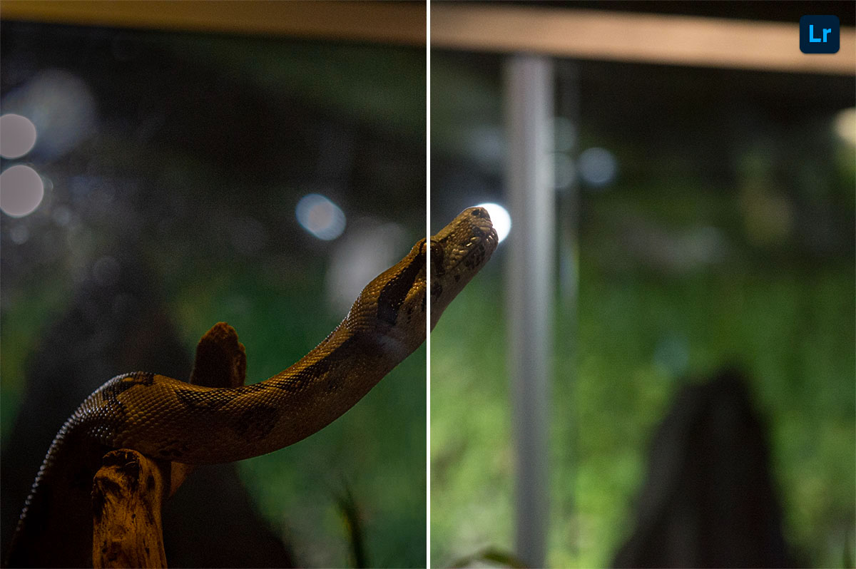 Python | Edit | Photoshop Lightroom