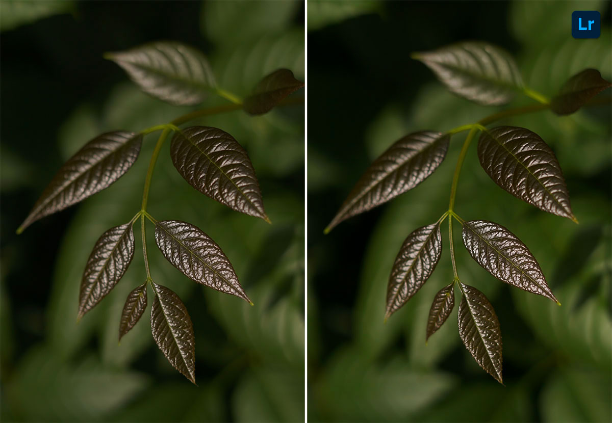 Steps Remix Photoshop Lightroom