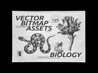 125 Vector Bitmap Assets Biology