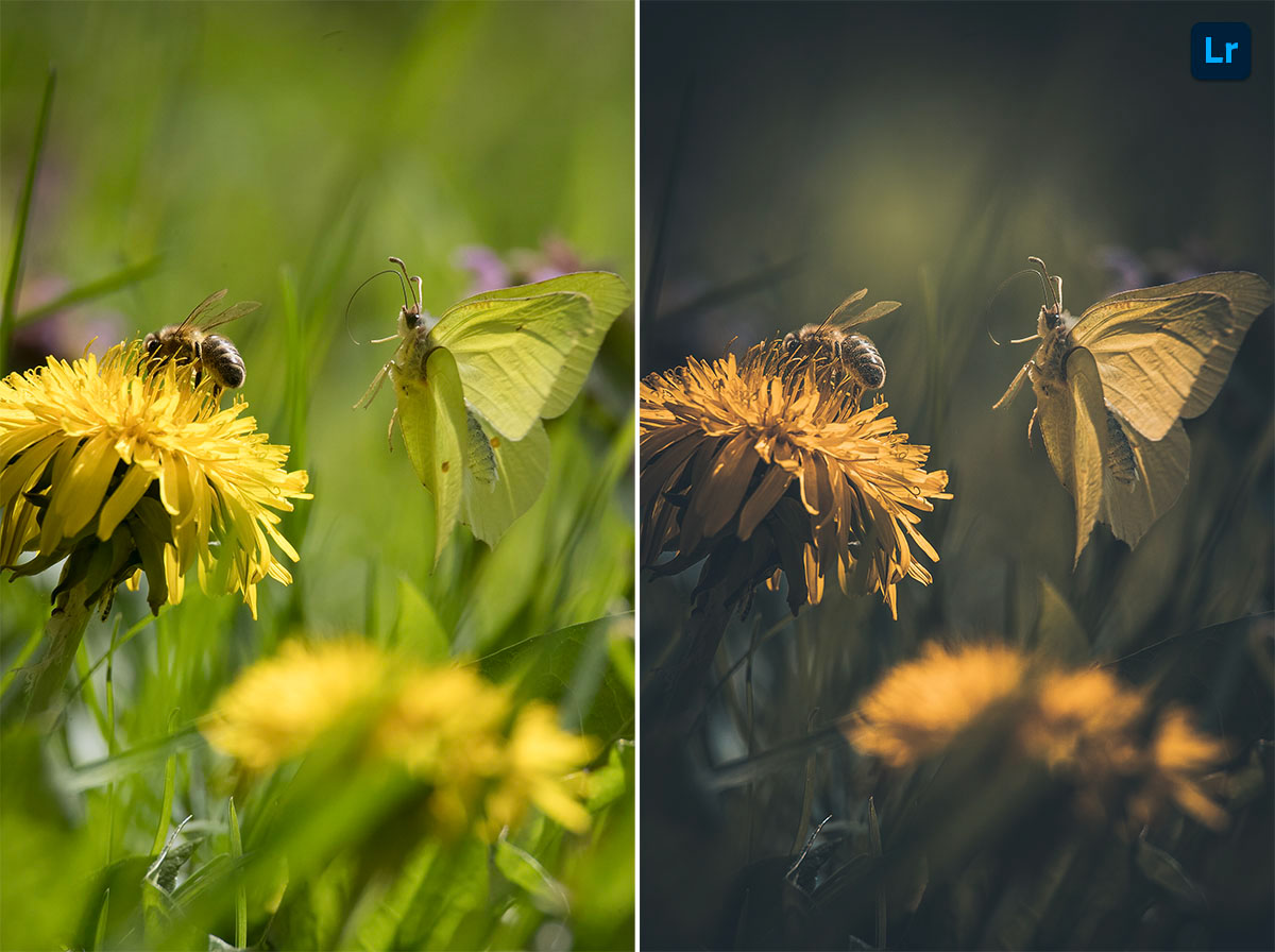 approach to landing... | Edit | Photoshop Lightroom