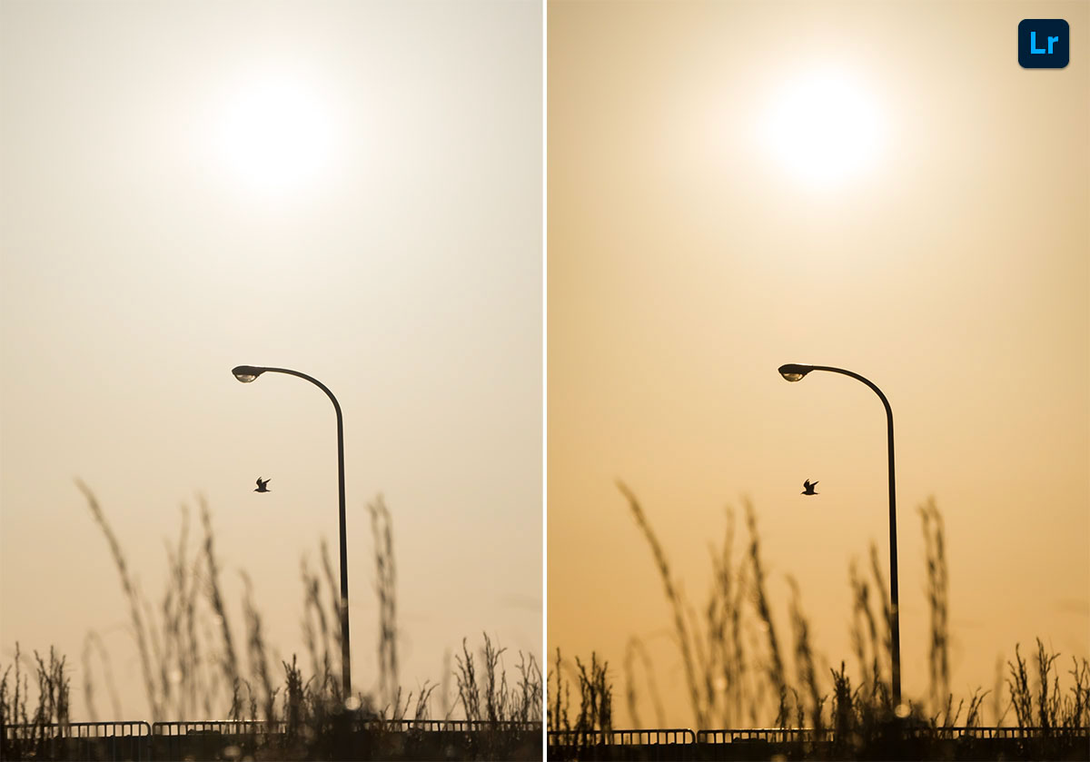 Street Light | Edit | Photoshop Lightroom