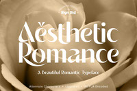 Aesthetic Romance - Premium