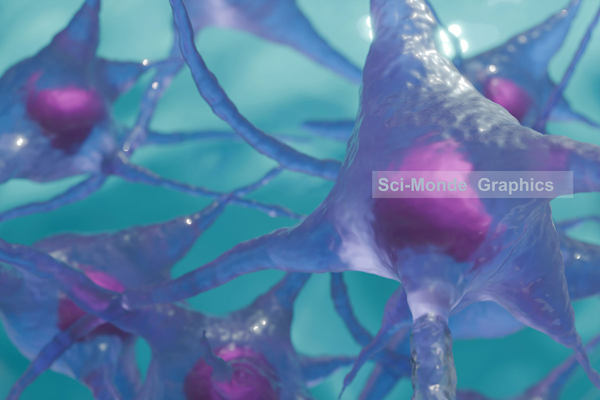 NeuronVisuals Versatile Neuron Images Blue purple rendition image