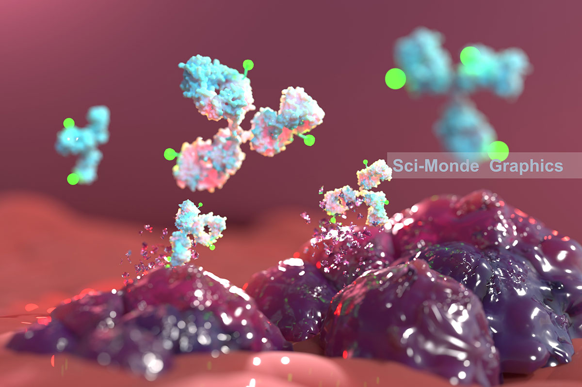 Drug conjugated antibody ADC rendition image