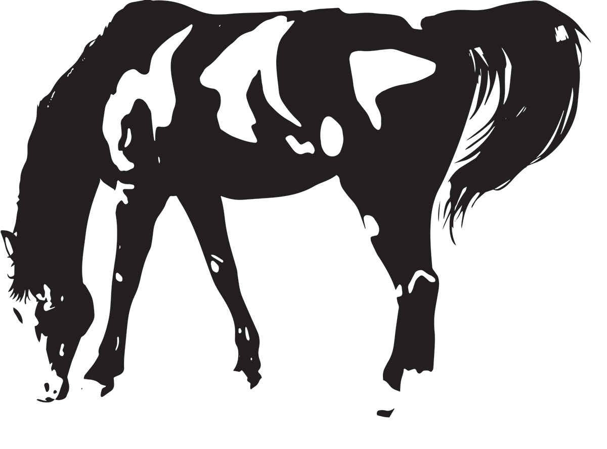 Horse rendition image