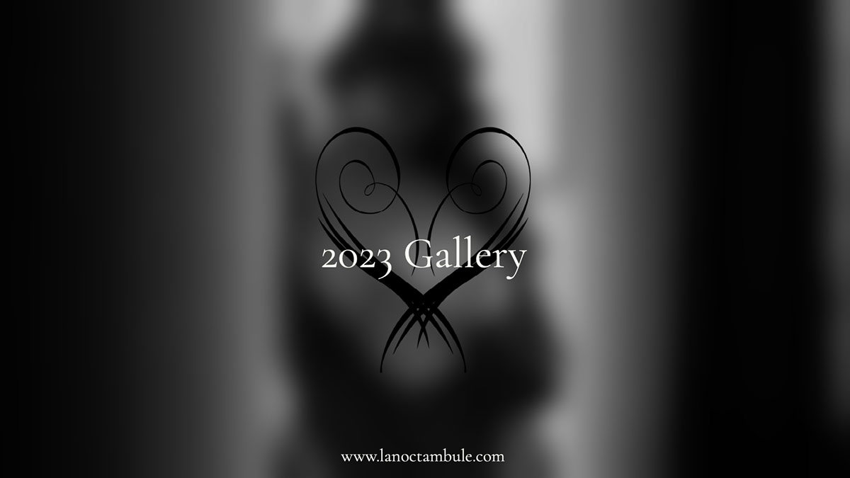 2023 Gallery 2023 Gallery www.lanoctambule.com