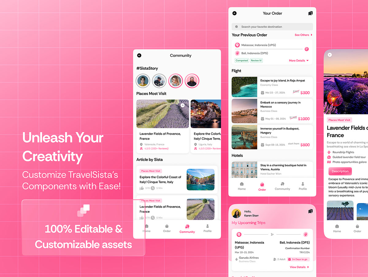 TravelSista - Travel App UI Kits rendition image