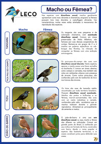 Ornitologia
