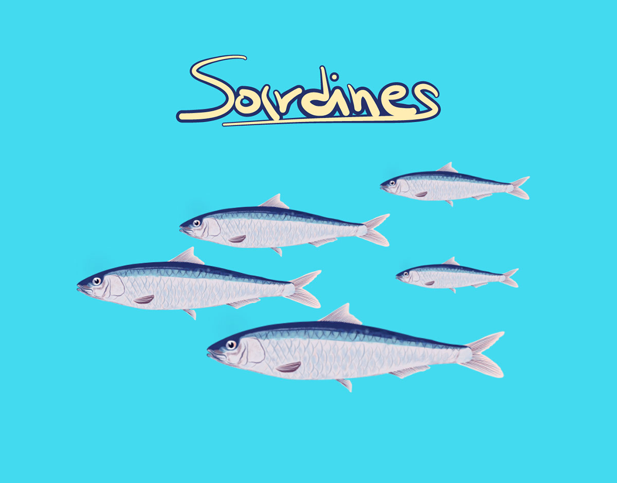Sardines rendition image