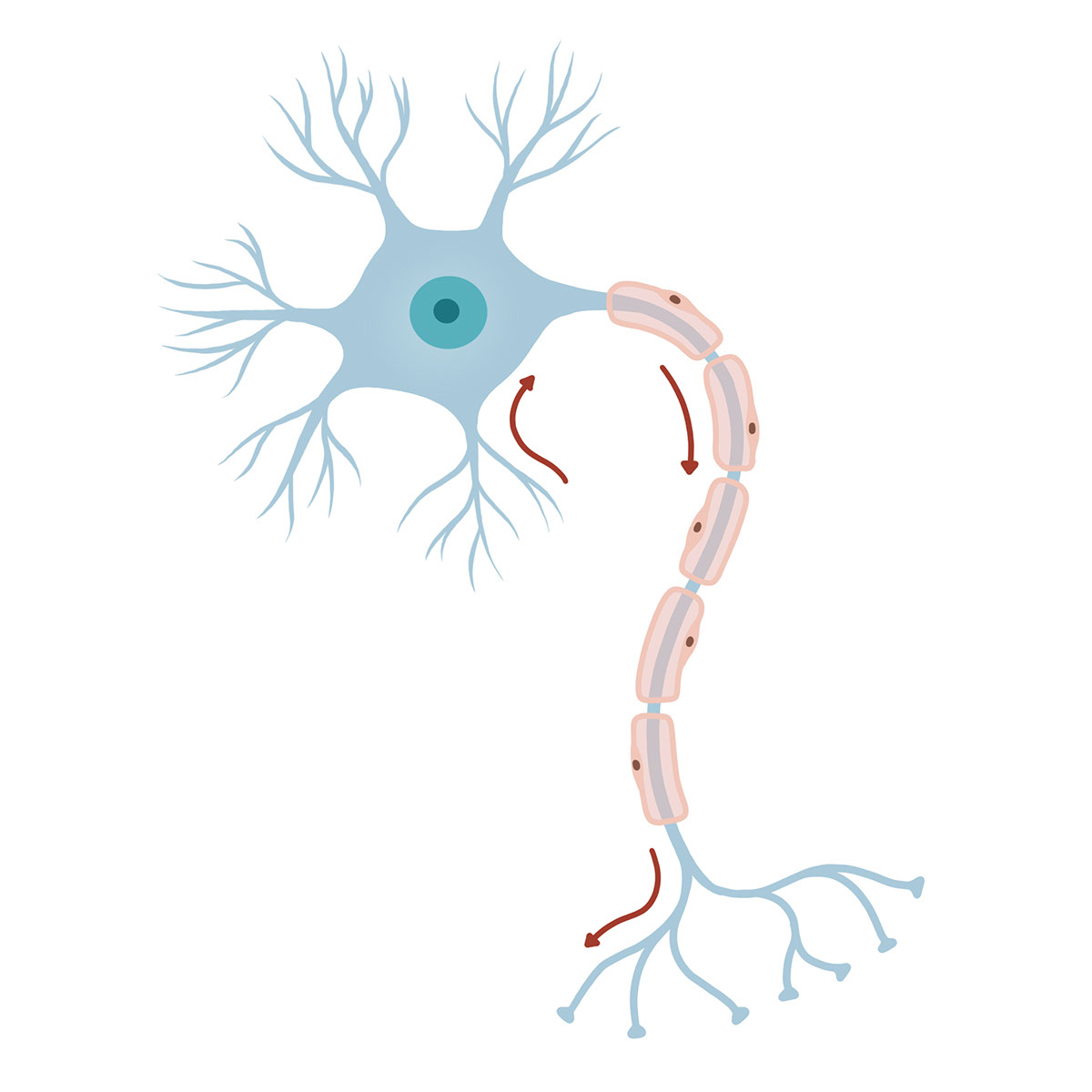neuron rendition image