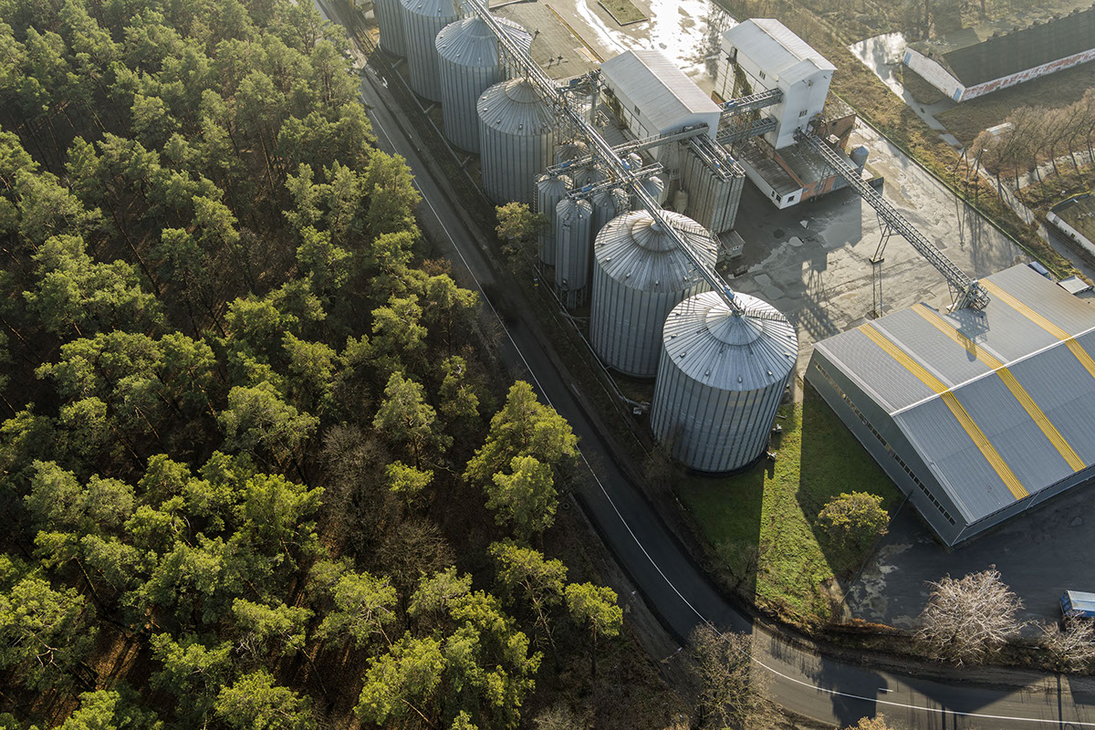 Arte Sostenible Energia de Biomasa Visualizada rendition image